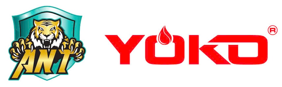 Yoko